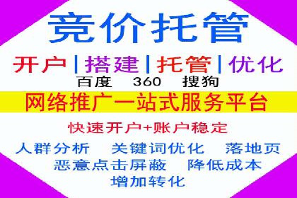 百度SEO推广案例解析与效果评估